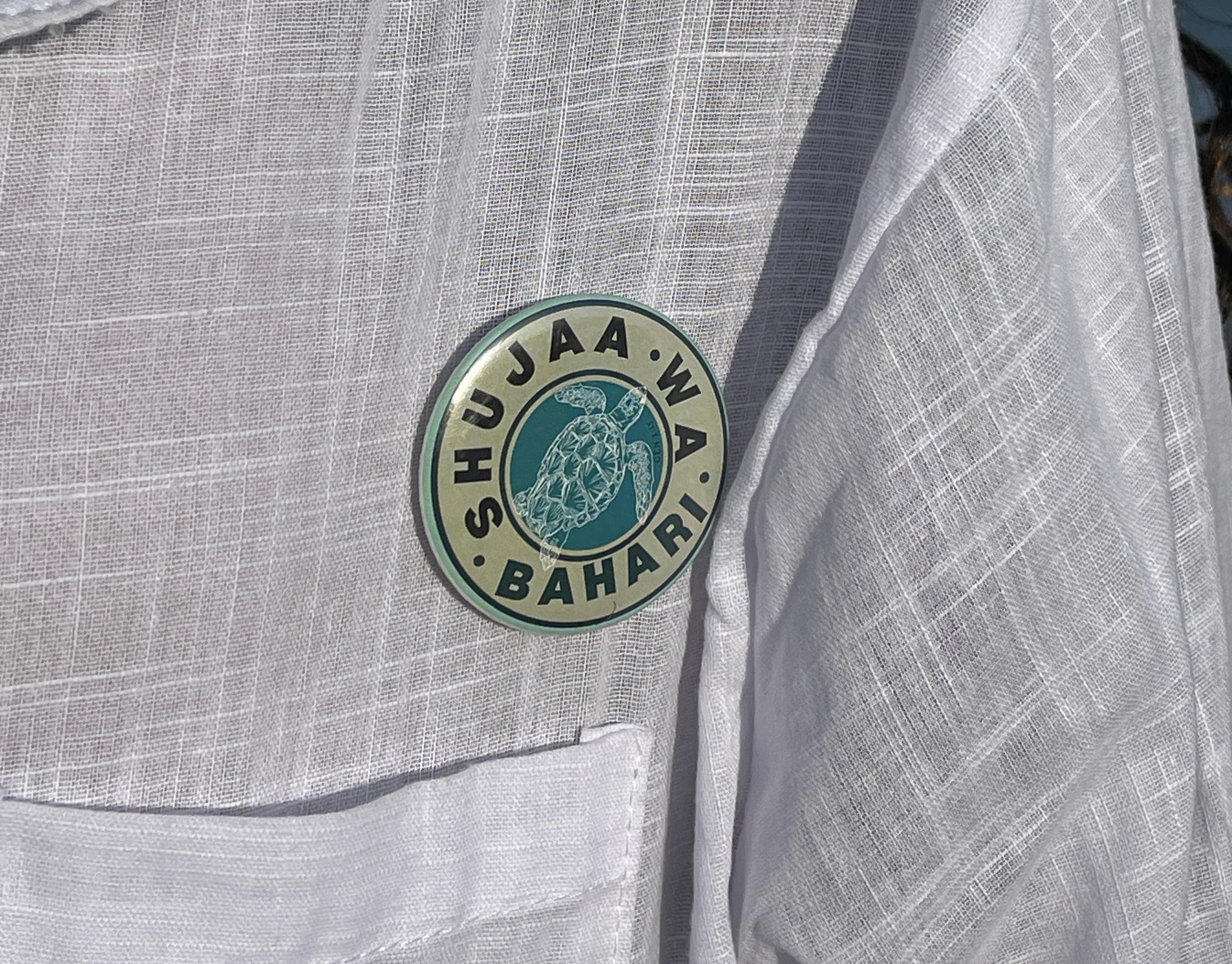 Mashujaa Wa Bahari Turtle Pin