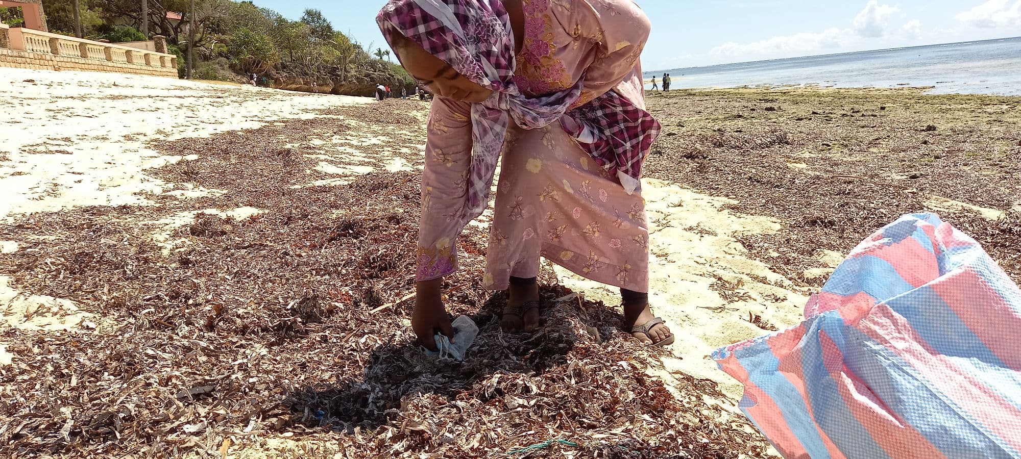 Child cleaning the beach